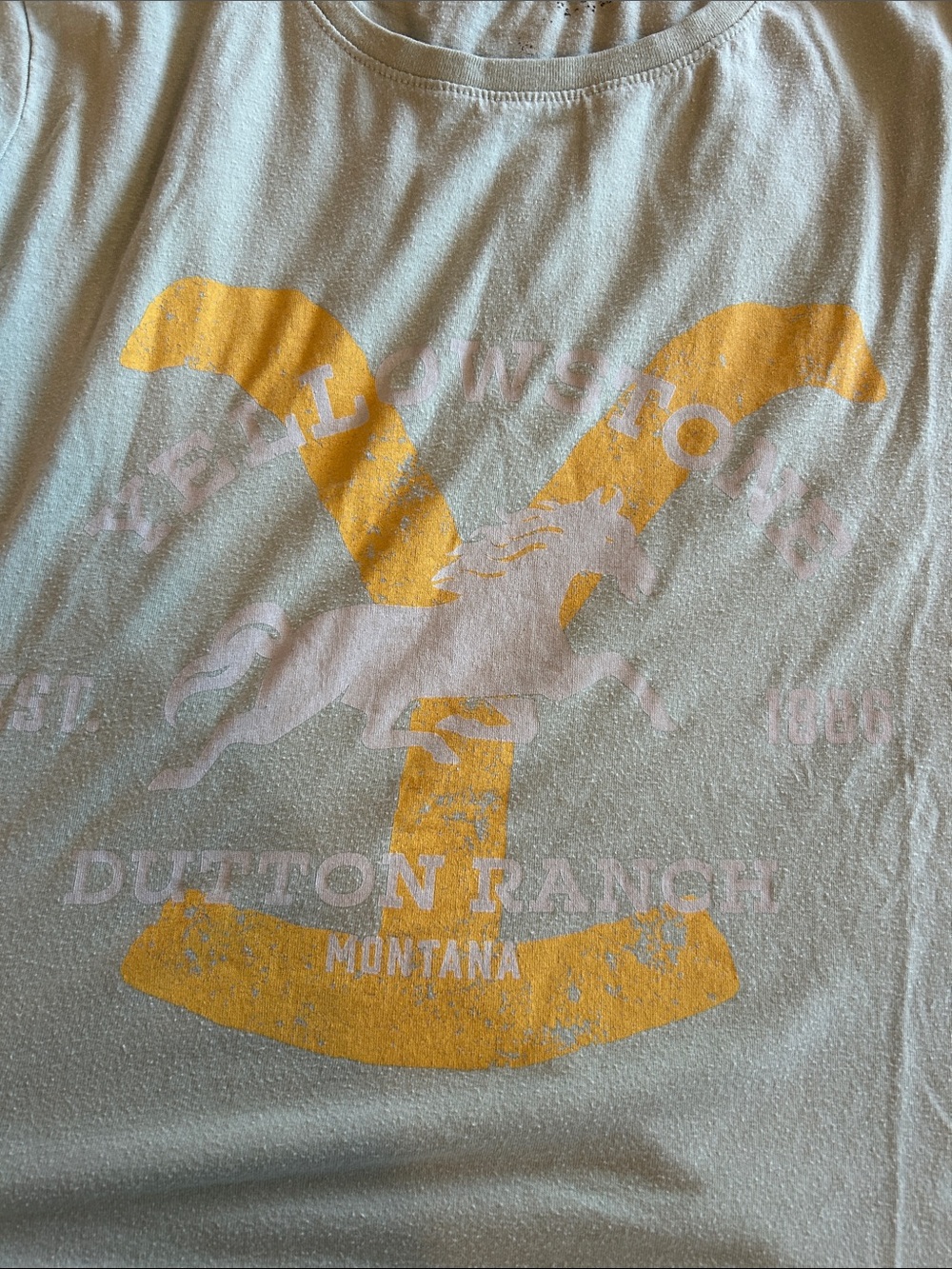 Source Unknown Pale Green Tee with Yellow Ranch Graphic